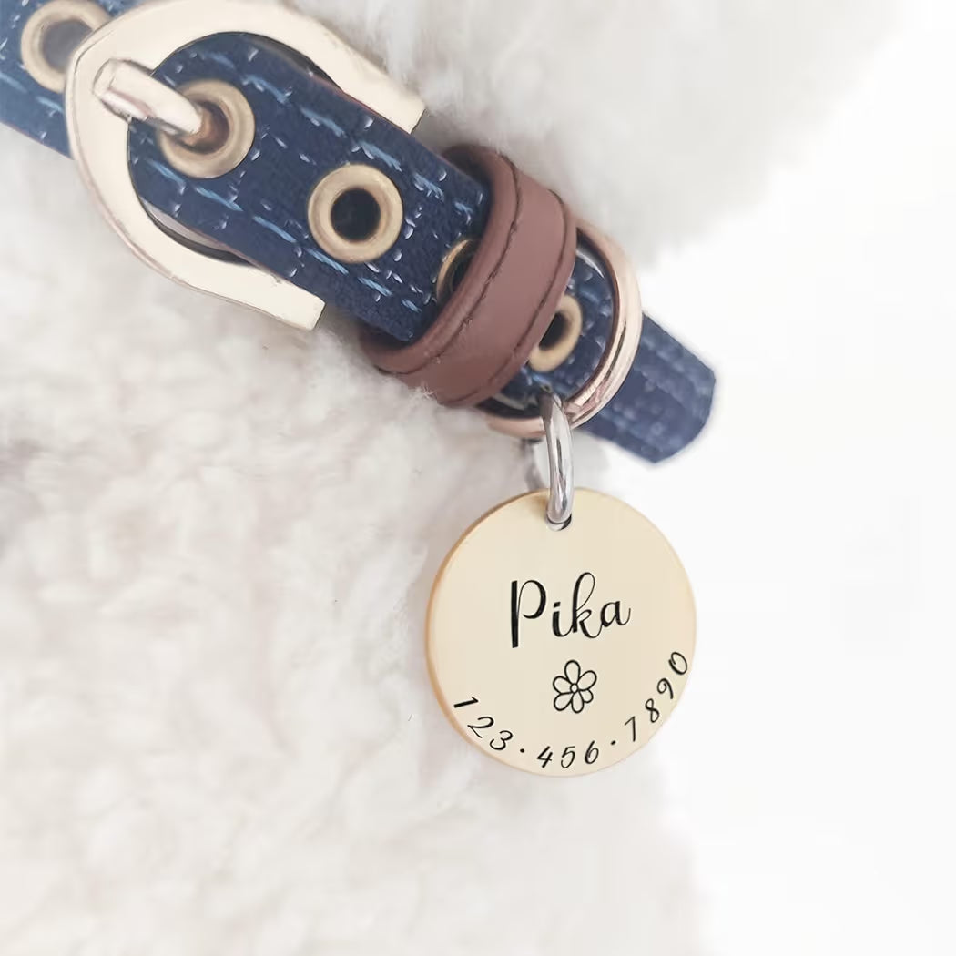 Placa Personalizada para Mascotas – Nombre y Teléfono Grabado